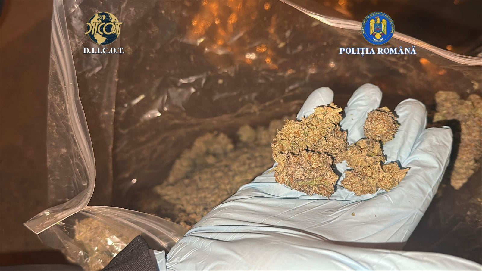 Droguri pentru elevii gălăţeni, confiscate la o firmă de coletărie