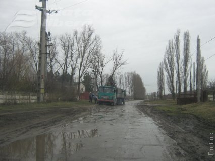 Noroaie în loc de asfalt