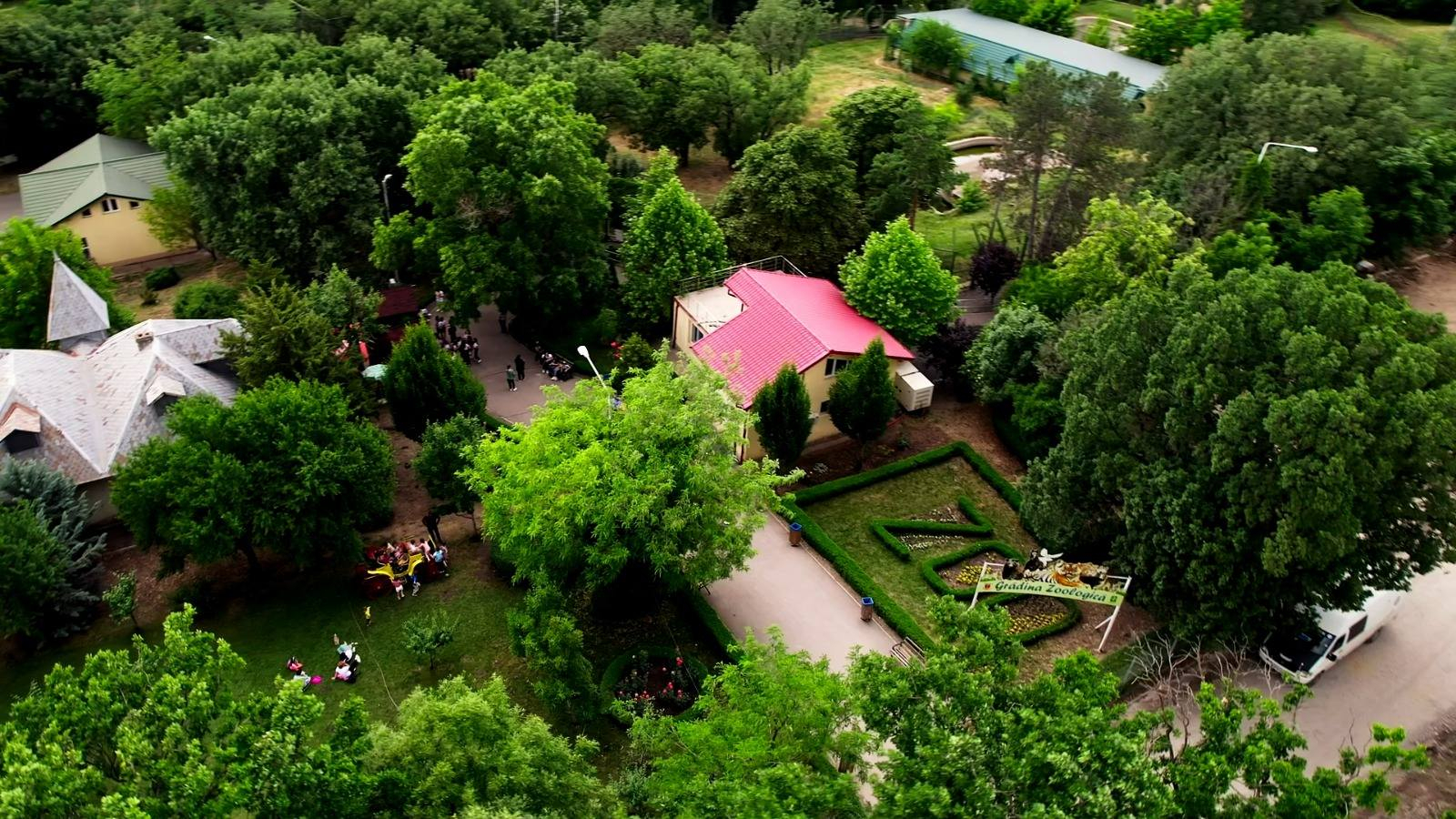 Plimbări pe Dunăre şi acces gratuit la Zoo