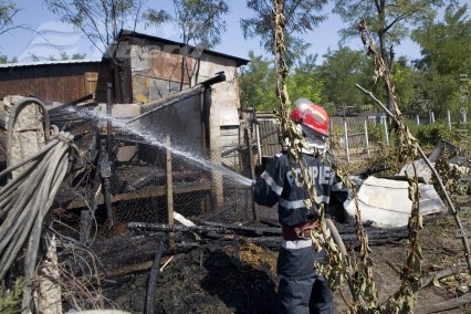 Animale arse de vii la Pechea