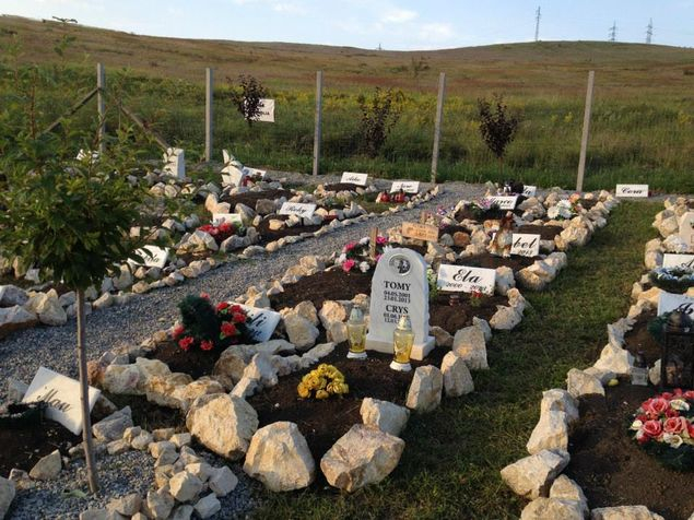 Cimitir pentru animale de companie, la marginea Galațiului