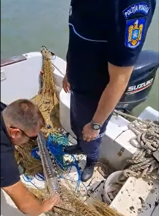 Peste doi kilometri de plase de pescuit confiscate