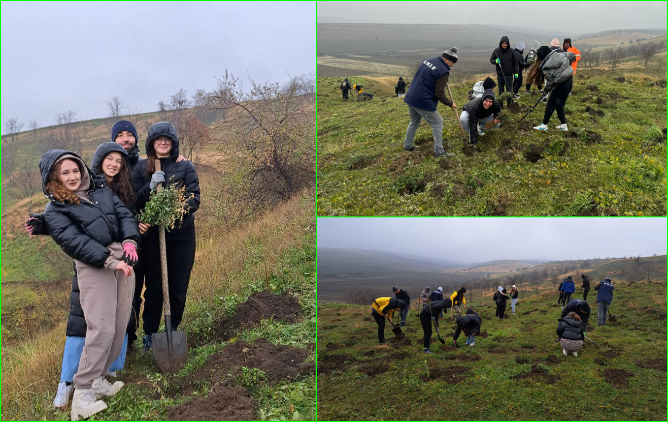 Puieți plantați de elevi de la CNVA, în cinstea Zilei Naționale