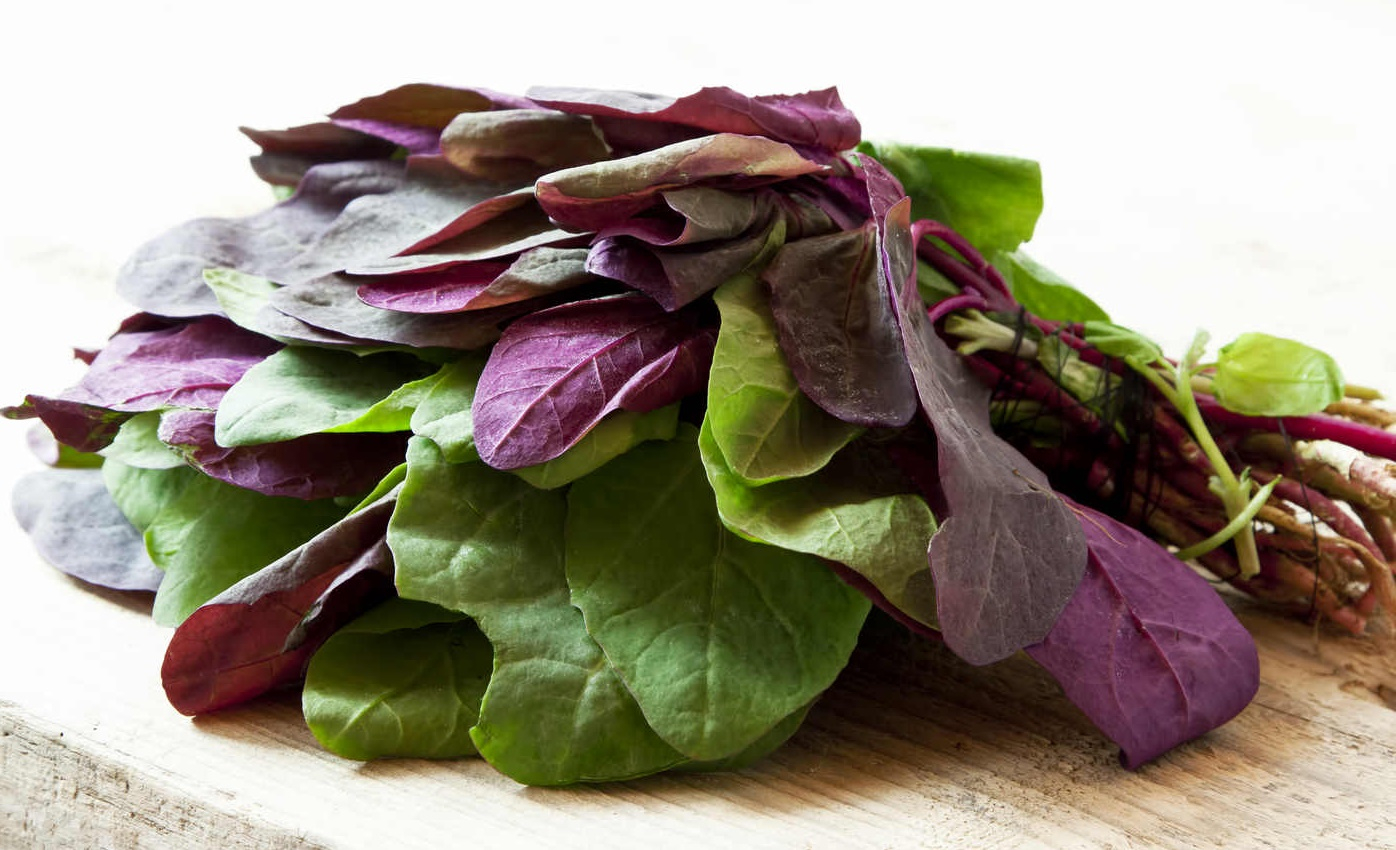 De ce e bine să mâncăm lobodă cât mai des