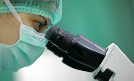 Un "ficat virtual", obţinut de cercetătorii europeni