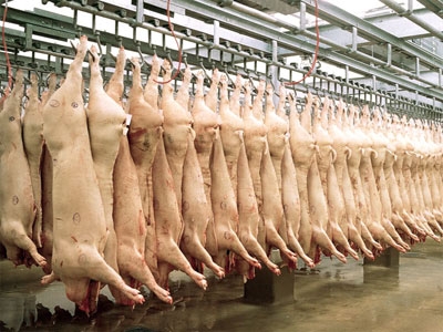 Liber la exporturi de carne de porc produsă la Galaţi