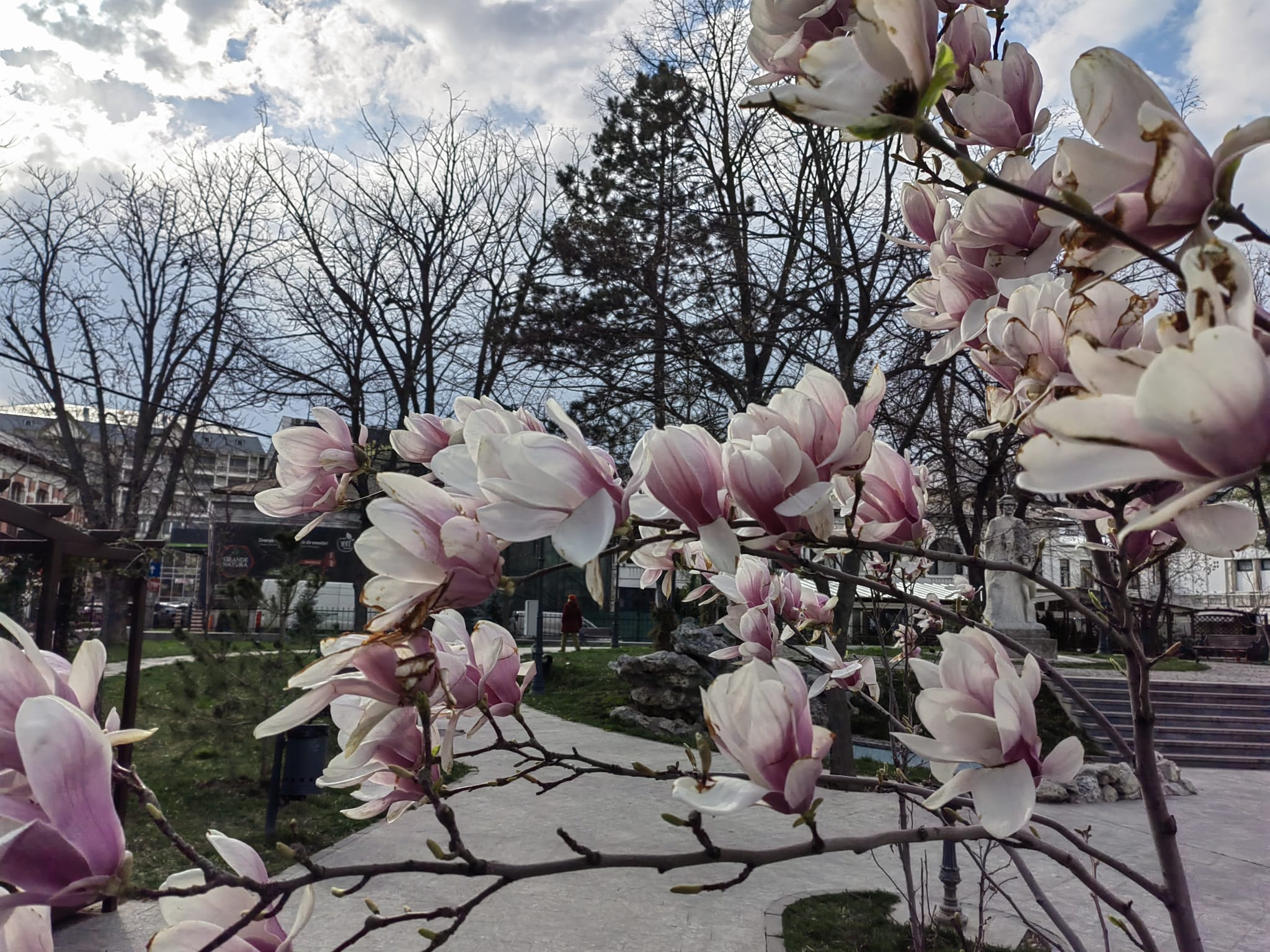 O nouă răcire accentuată a vremii