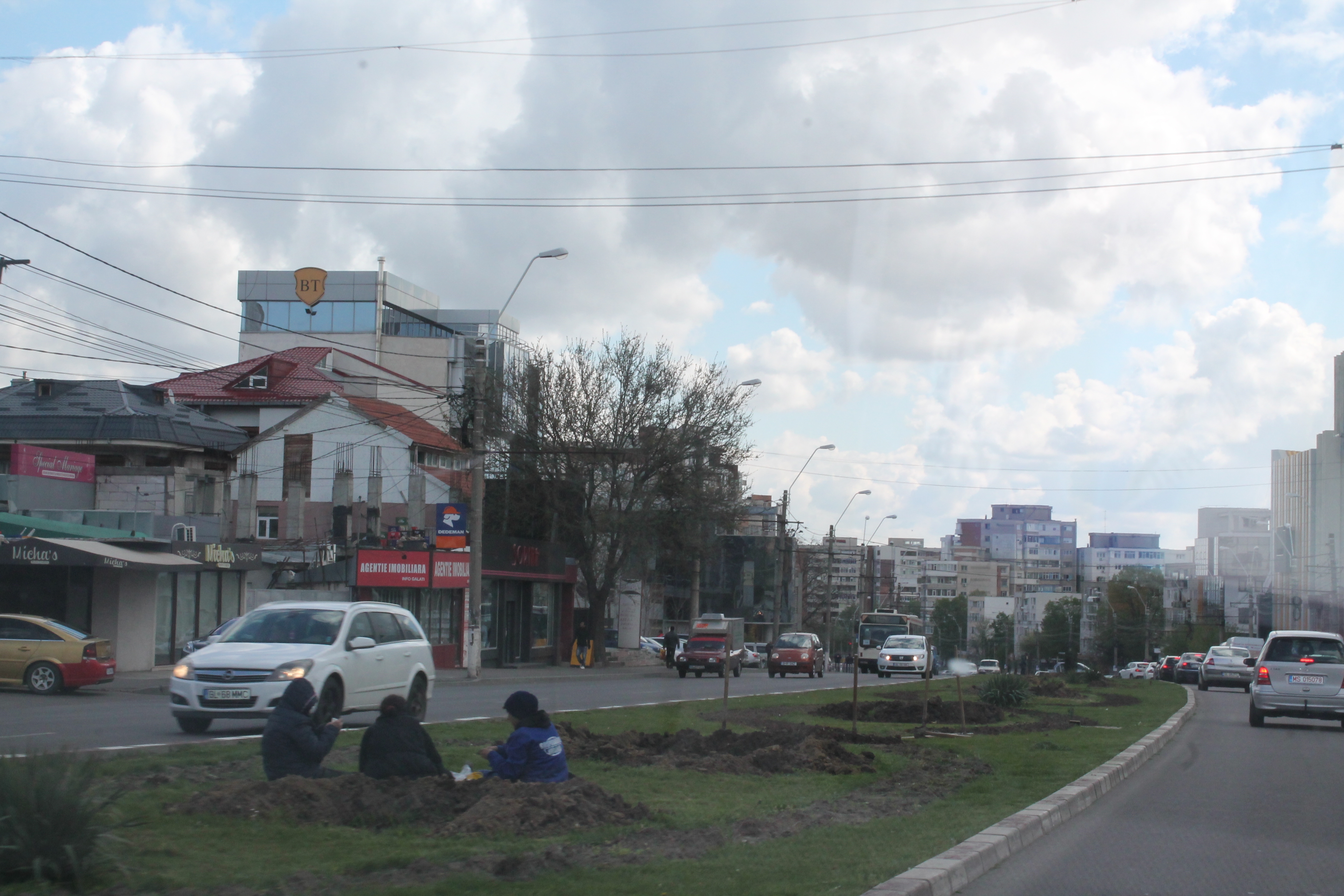 Se lucrează la spaţiul verde. AFLĂ ce se va planta pe scuarul de pe Brăilei