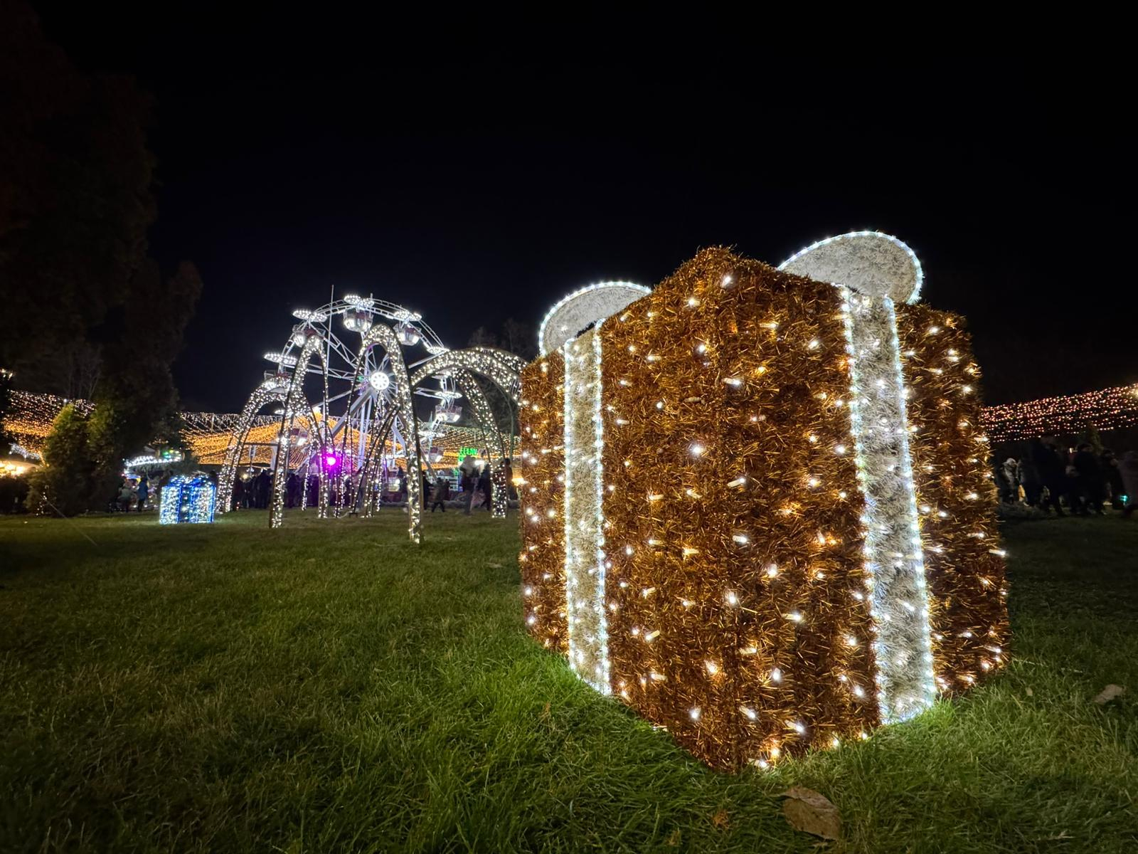 Galațiul, între feerie şi şantier cu beculeţe... (FOTO)