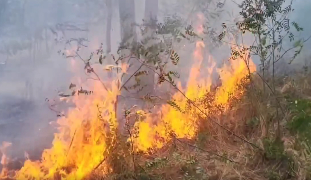 A luat foc cu tot cu gluga de coceni