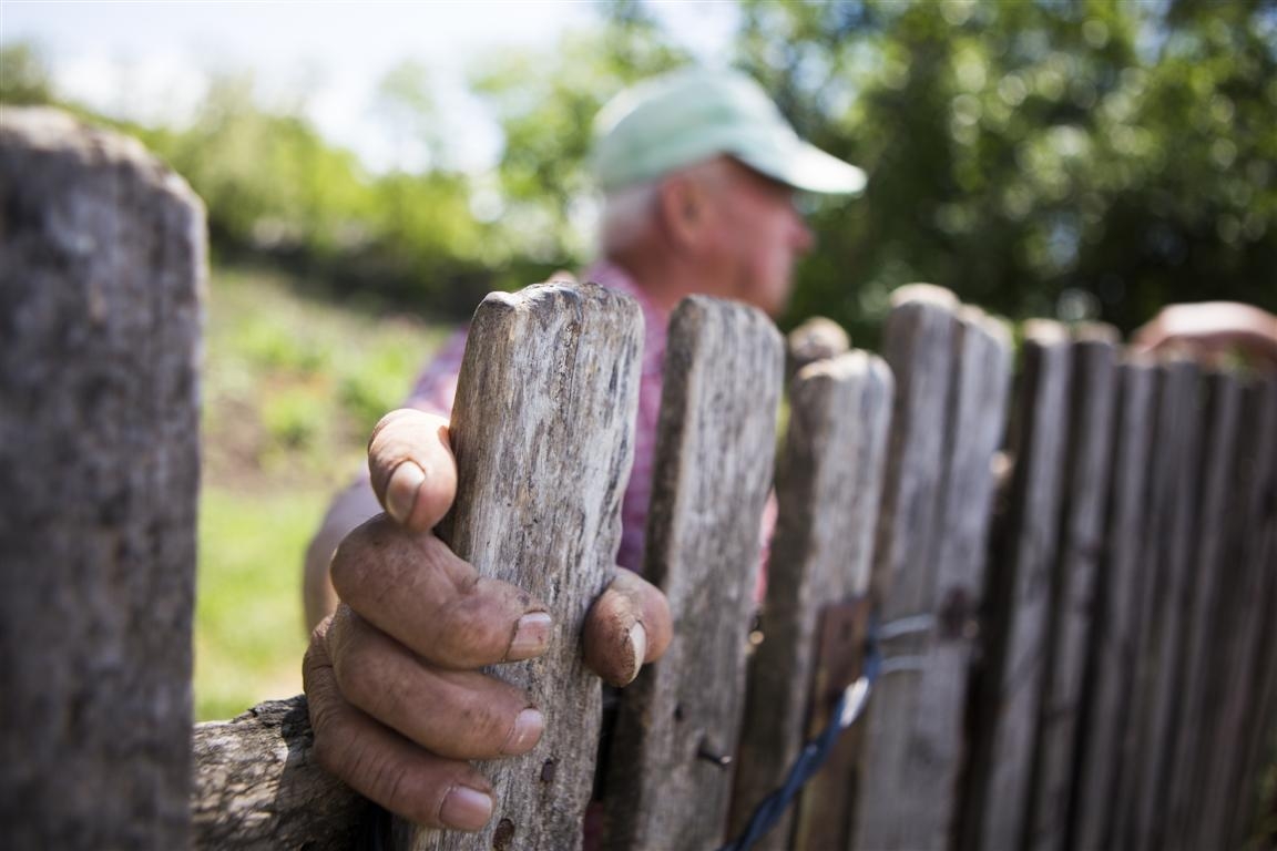 Cine sunt singurii angajatori din mediul rural gălăţean 