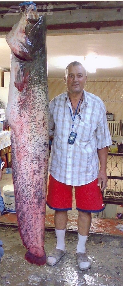  Gălăţeanul Alexandru Lungu a prins un somn de 105 kg şi doi metri!