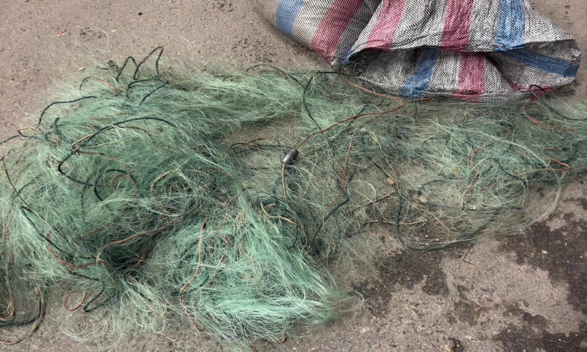 Plase de pescuit ilegale, în bagajele unui român