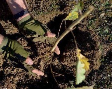 Patronii ARCADA, trimişi în judecată pentru FRAUDĂ