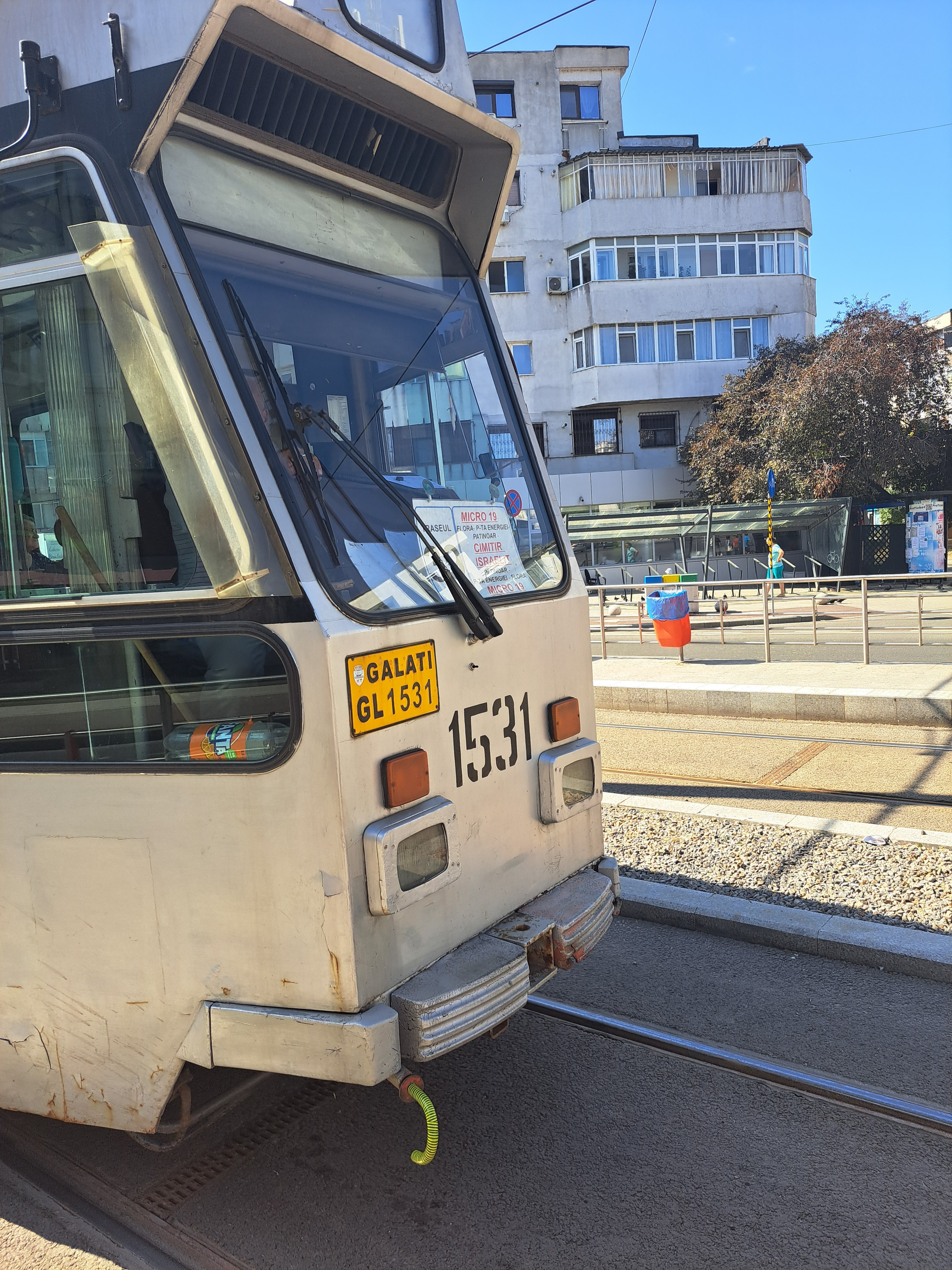 Gălăţeancă apostrofată de un vatman Transurb din cauza căţelului