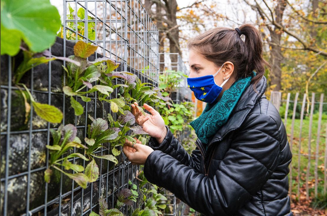 Parlamentul European a aprobat noua politică agricolă a UE
