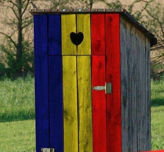 România din fundul curții constituționale