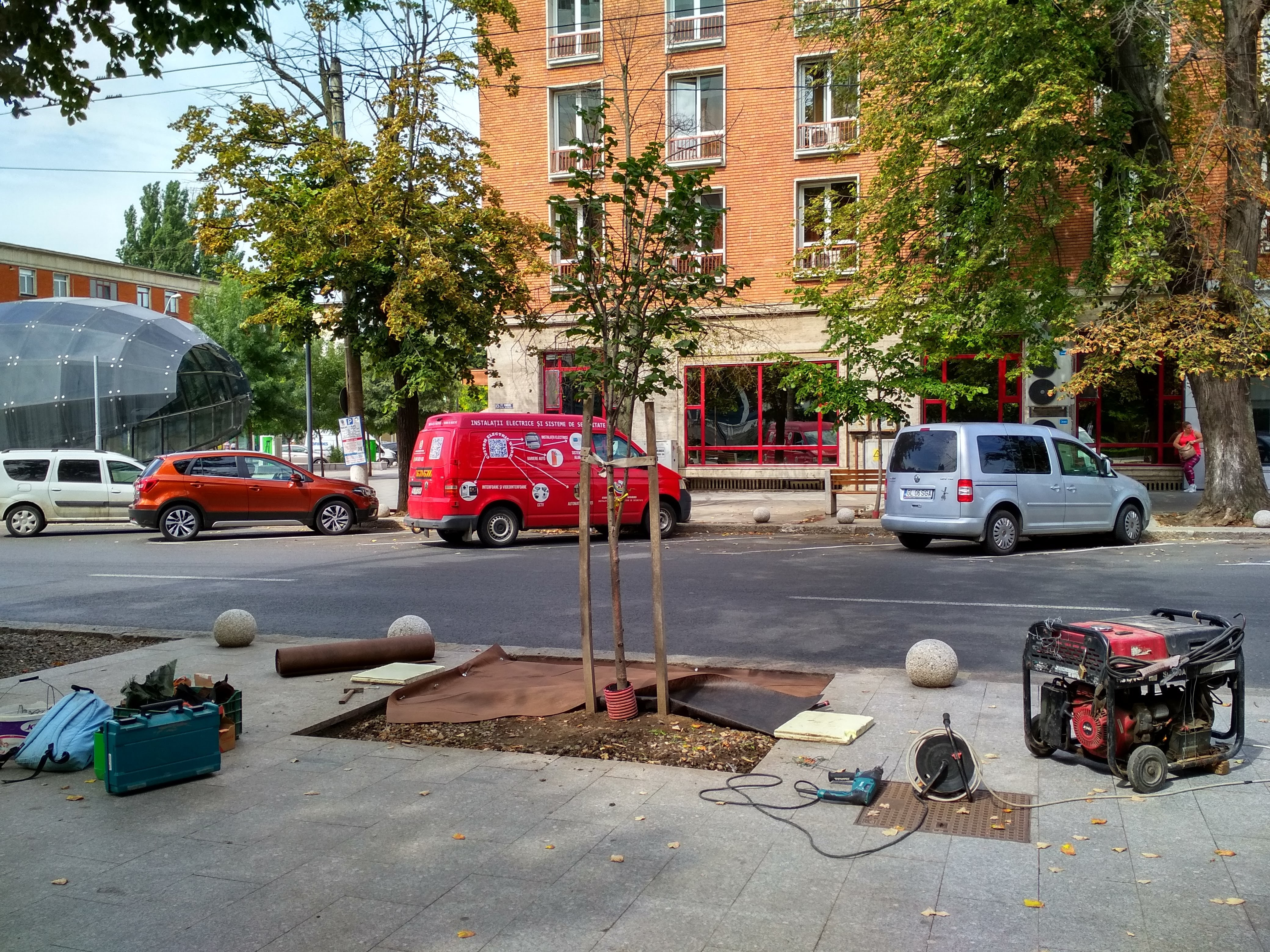 Intervenții la arborii din centrul orașului