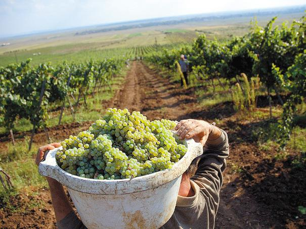 Aproape 120.000 de zilieri în Galaţi