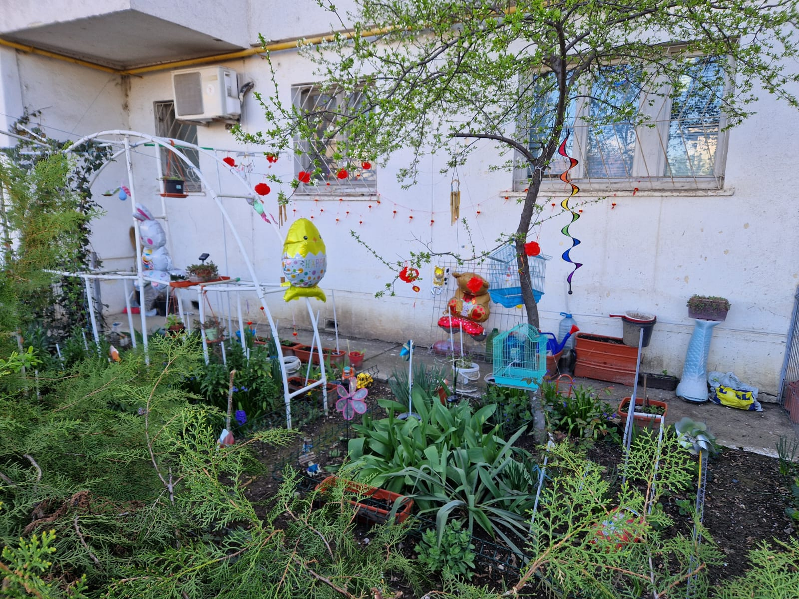 Poza zilei. Şi grădinile se pregătesc de Paşti