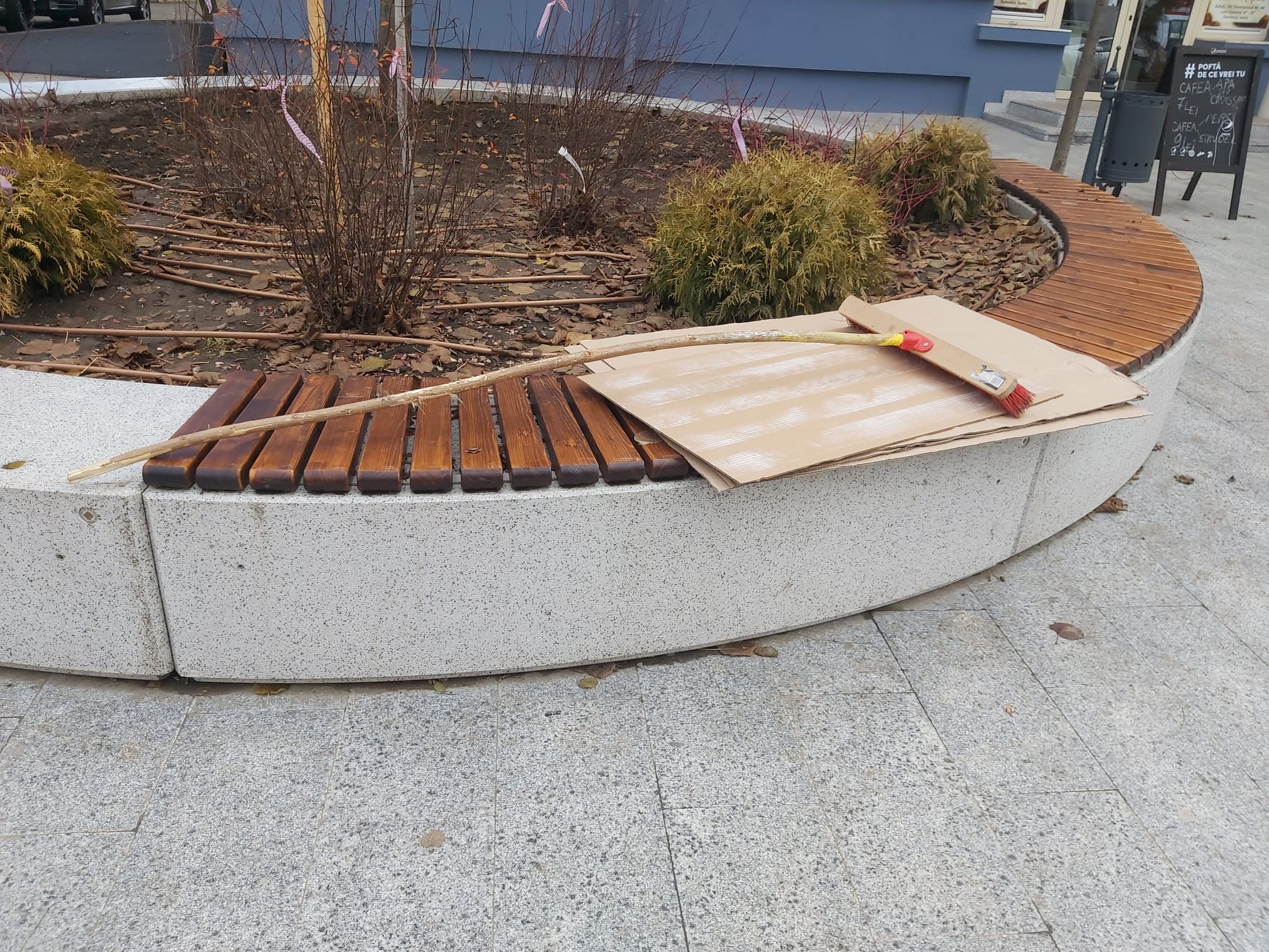 Poza zilei. Cât de lungă e coada măturoiului?