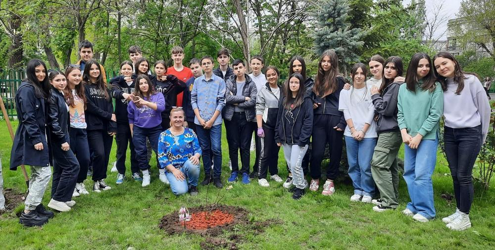 Elevii de la Şcoala „Ştefan cel Mare” au plantat copaci în curte