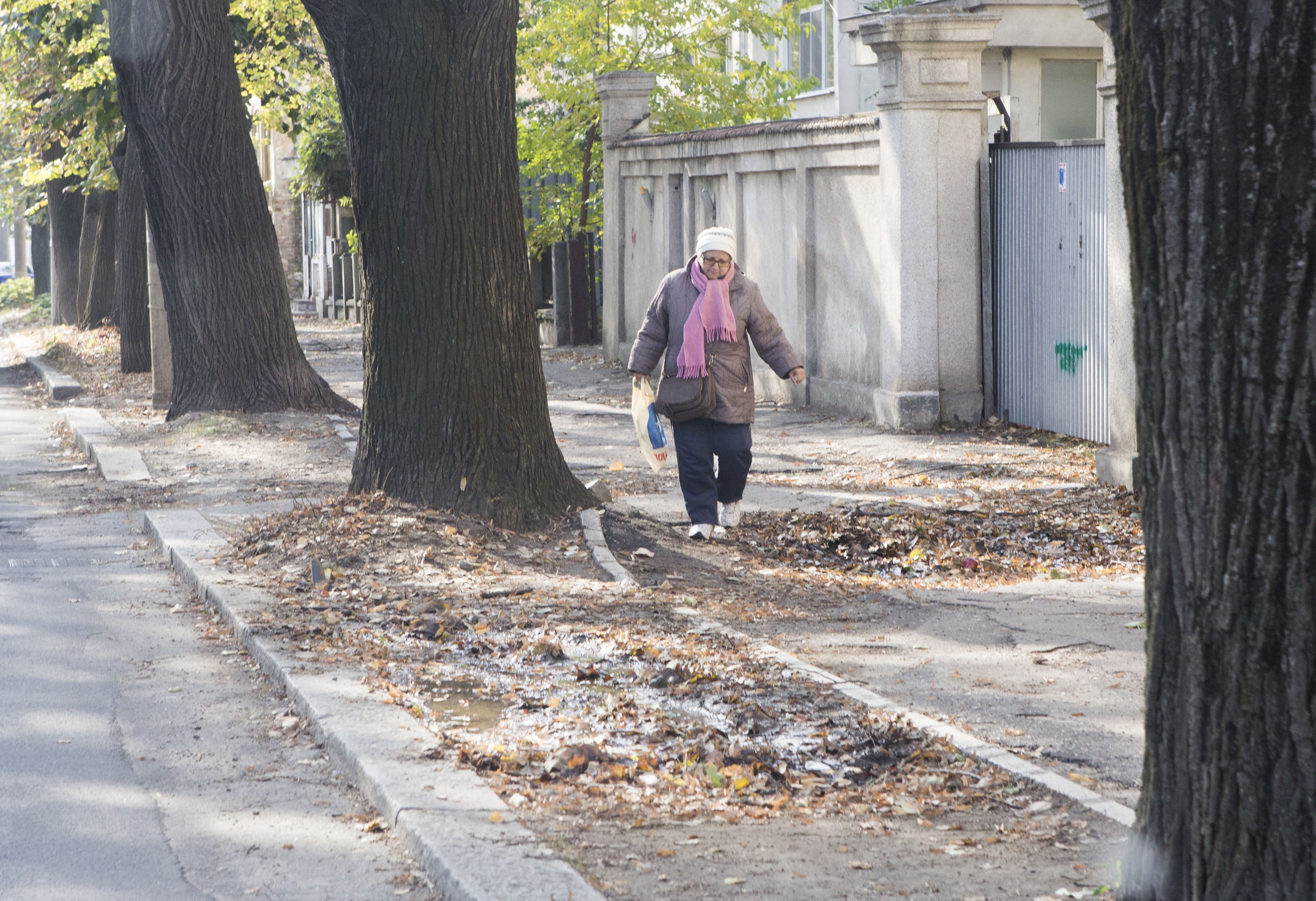 REPORTAJ la Parfumul Teilor/ Cartierul ISTORIC al Galaţiului zace ABANDONAT în uitare (GALERIE FOTO)