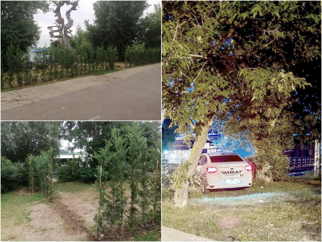 A trecut o săptămână, dar împrejmuirea de pe Faleză rezistă! (FOTO)