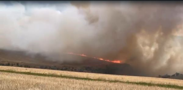Ravagii în culturile din județ din cauza vremii extreme! Trăsnetele au ars sute de hectare (FOTO ȘI VIDEO)
