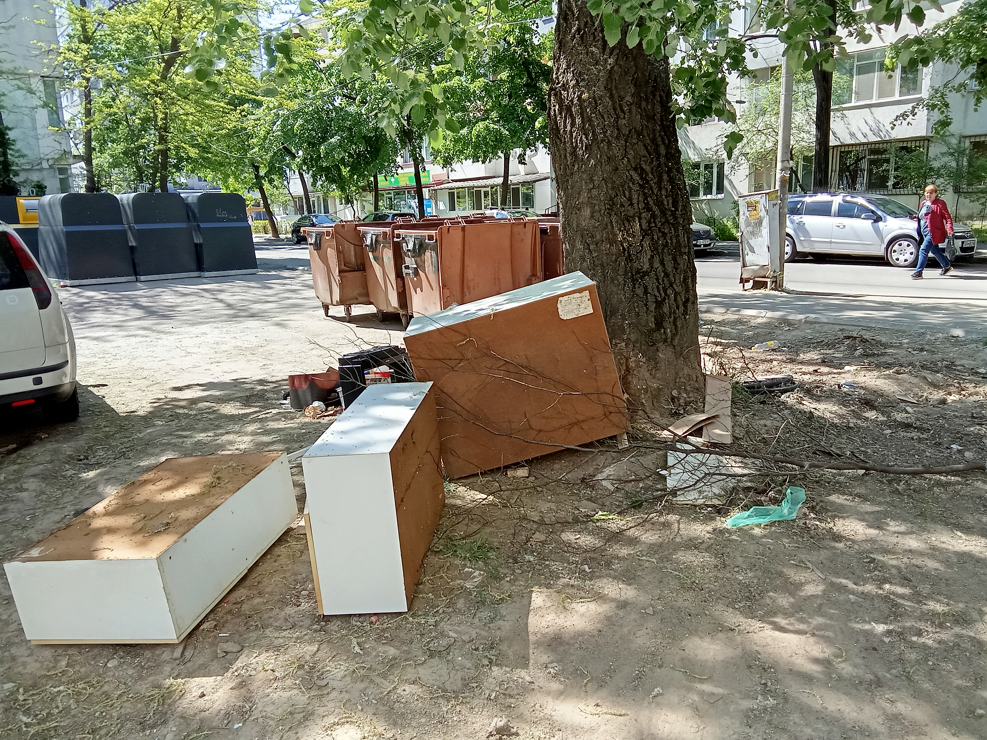 Poza zilei. Unitate în... diversitate, varianta pe deșeuri