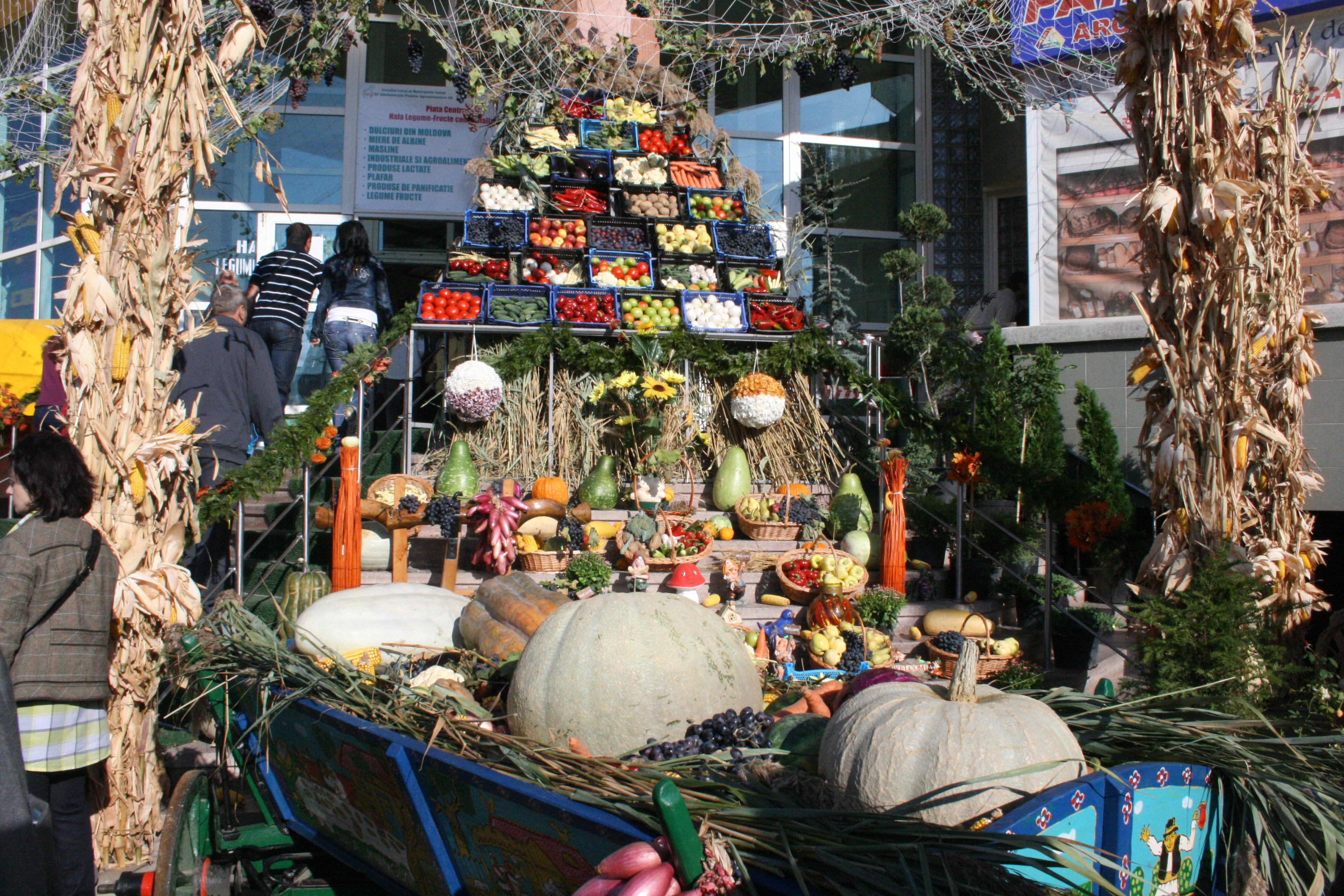 Ofertă bună la Târgul de tomană, numai bani să fie! 