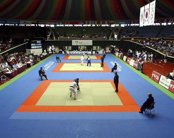 JUDO | ”Europenele”, reprogramate pentru finalul anului