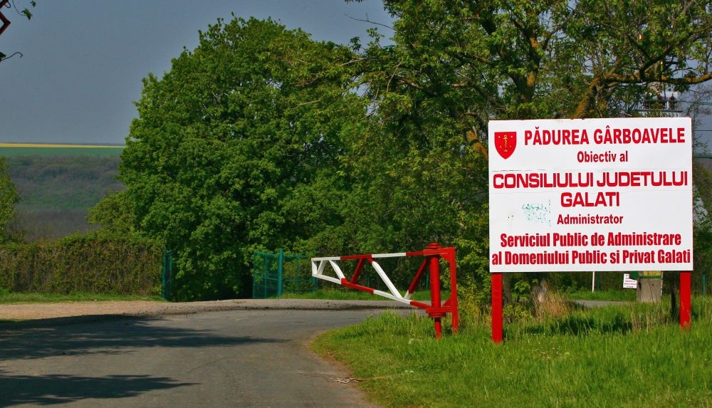 Câţi BANI s-au încasat din administrarea Pădurii GÂRBOAVELE