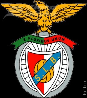 Benfica - antrenament oficial pe Arena Naţională