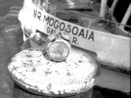 Dezastrul „Mogoşoaia” - Privind peste ape, înapoi…  