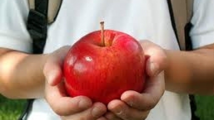 Elevii vor primi MERE şi-n viitorul an şcolar