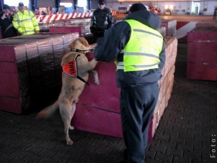 Vămile Galaţi şi Vrancea contra traficului de ţigări