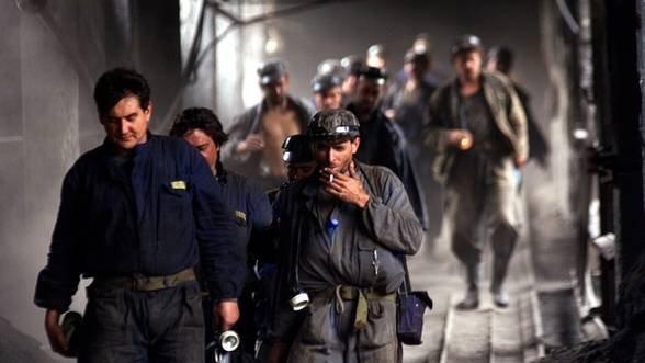 SNLO va disponibiliza 300 de angajaţi până la sfârşitul anului