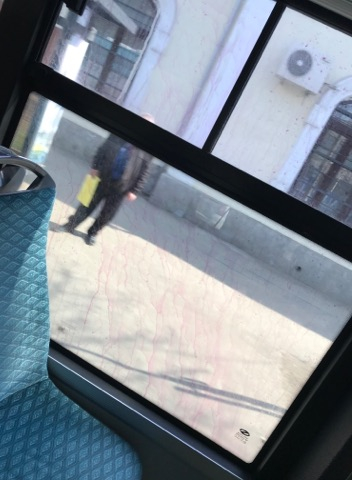 Nesimţire în troleibuzul 102