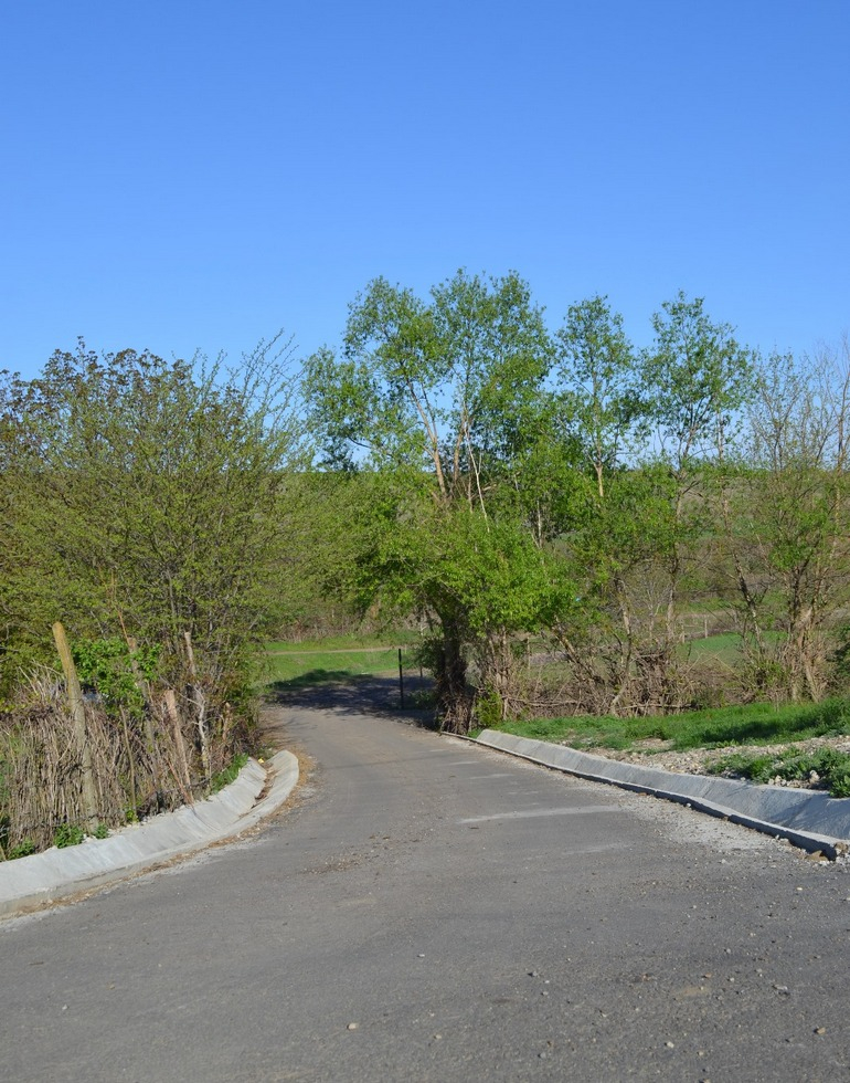 Asfaltare reluată la Fârțănești și Viile