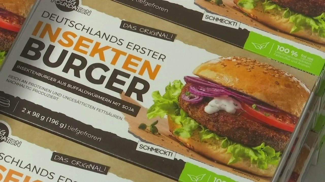 Ungurii nu vor să mănânce insecte