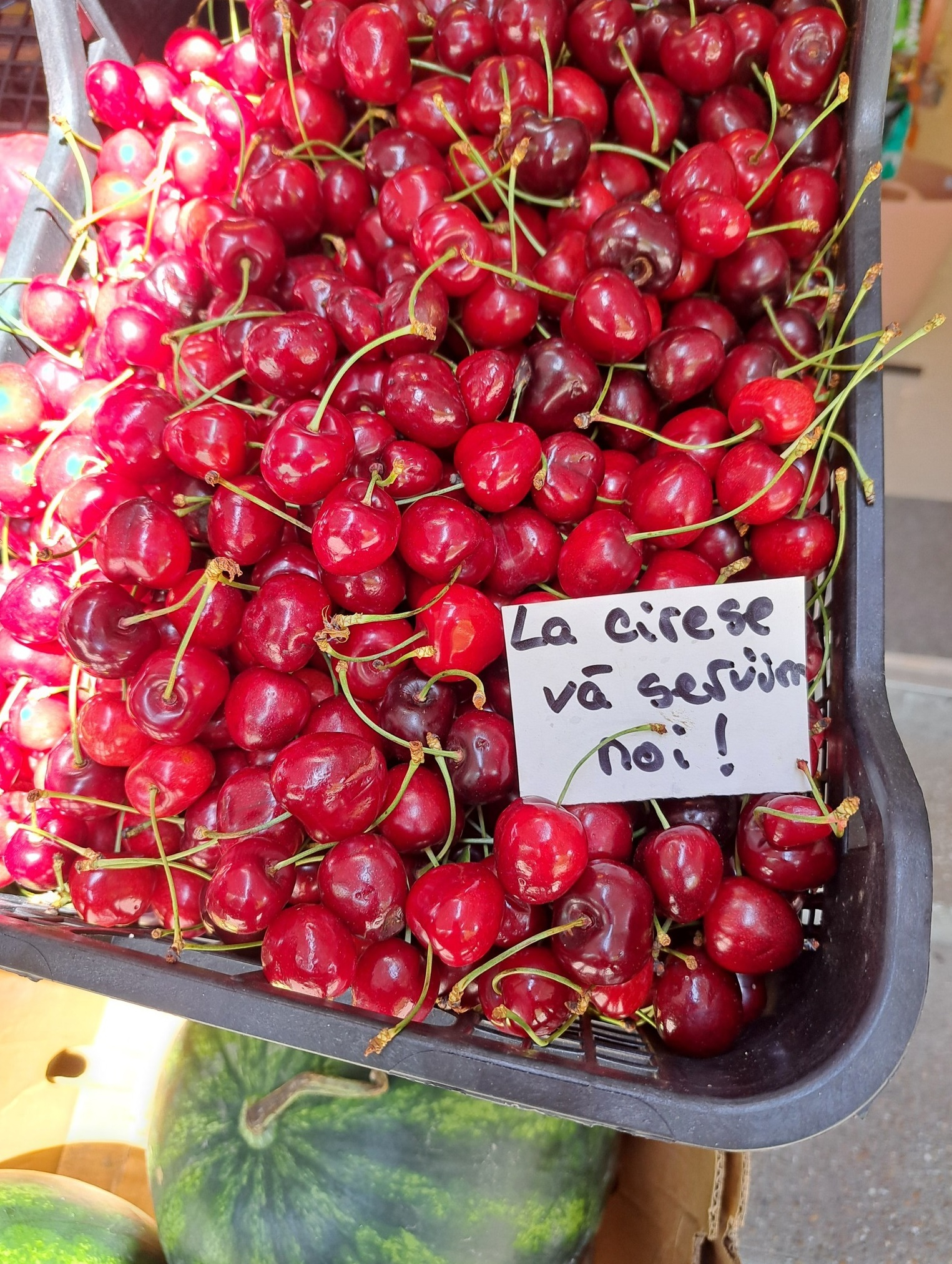 Familia Creangă vă urează o vară de neuitat la preț