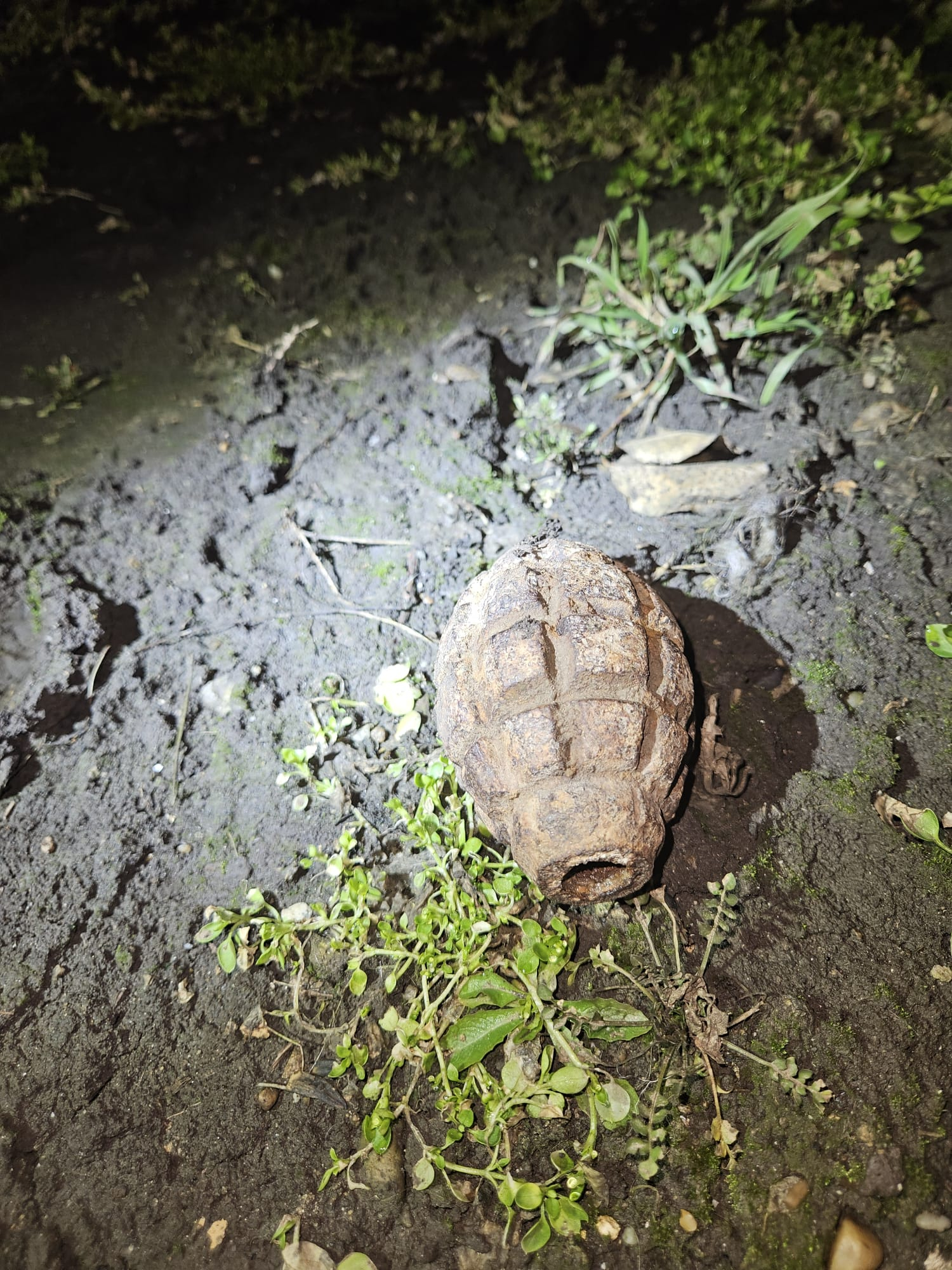 Grenadă găsită într-o pubelă de gunoi