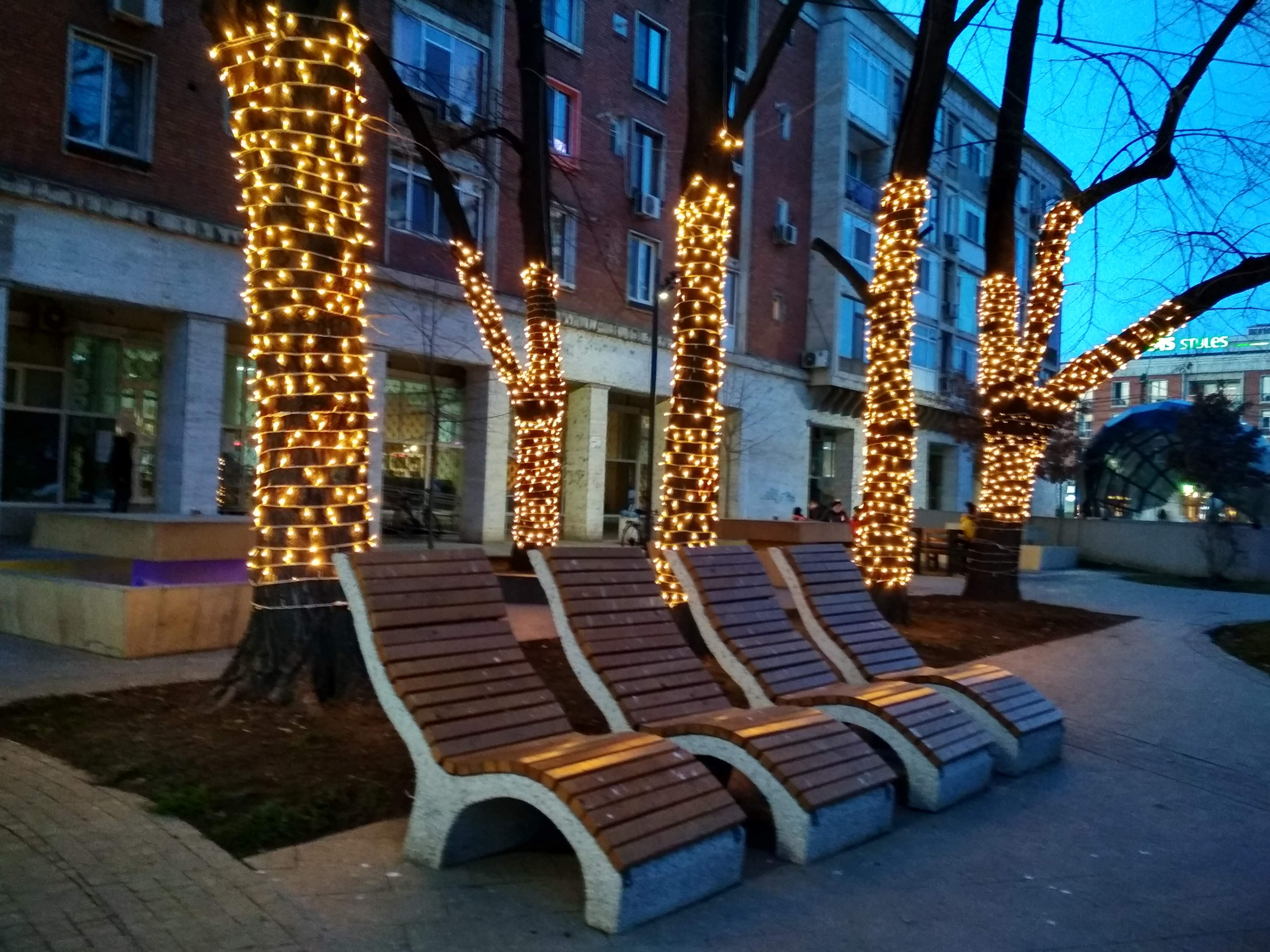 Poza zilei. Crăciun „estival” în februarie