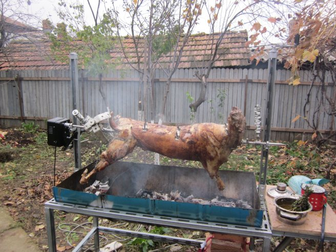 Berbecuţ la proțap, deliciu de toamnă