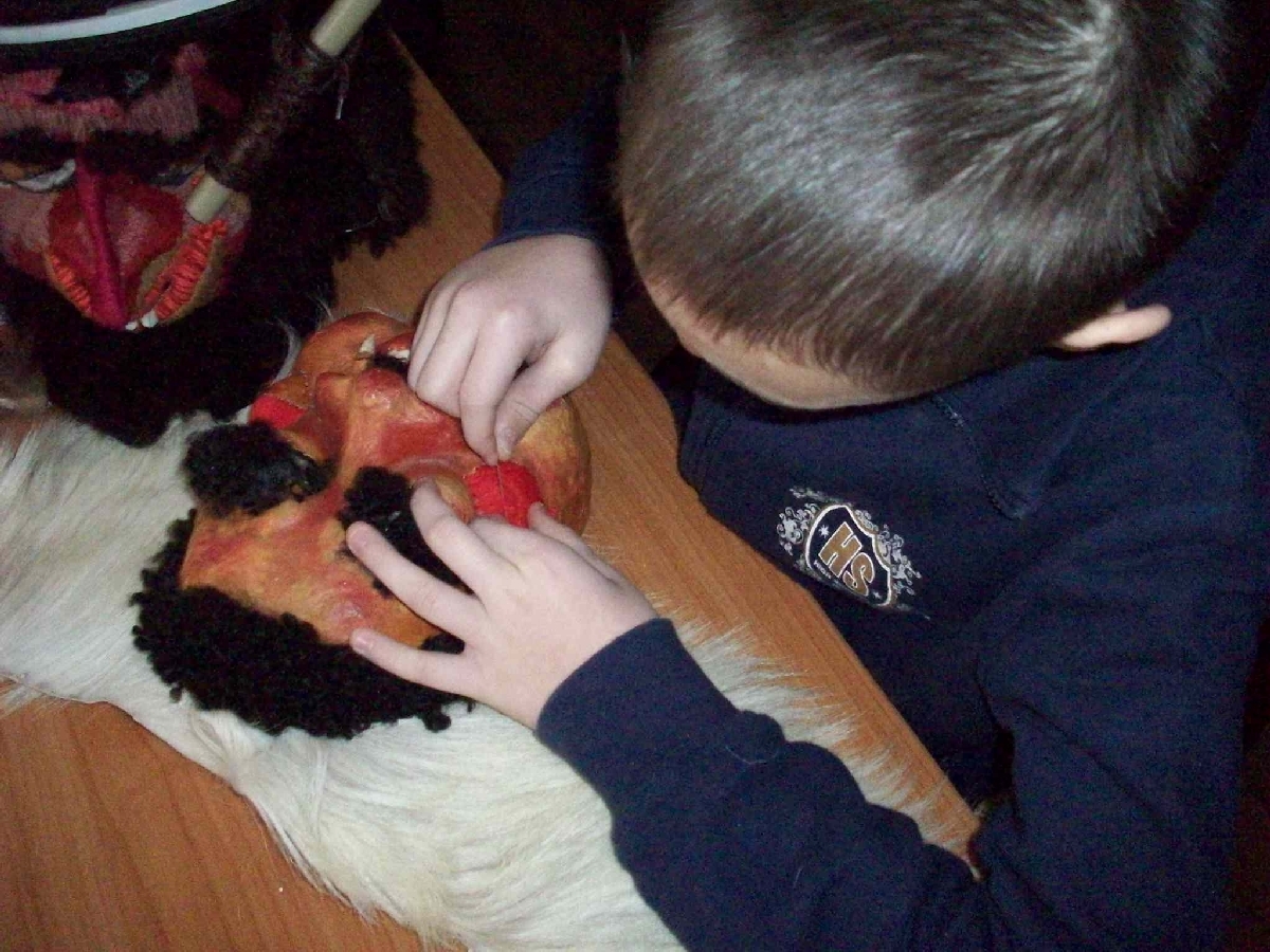 CURS GRATUIT de făcut măşti populare şi MANIFESTĂRI dedicate lui EMINESCU, la Tecuci