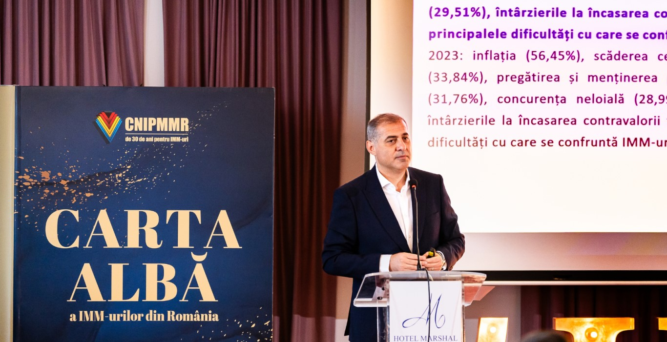 La Galaţi, companiile rezistă, dar lipsesc investițiile strategice