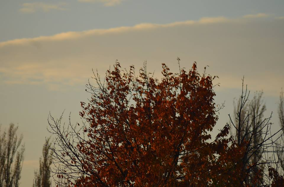 PROGNOZA METEO | Cum va fi vremea, luni, la Galați