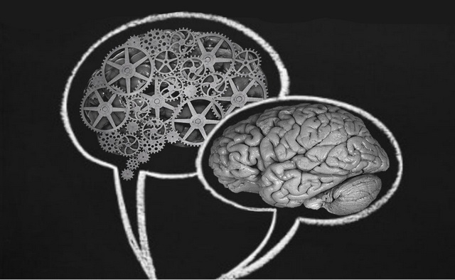 Portul legal de creier