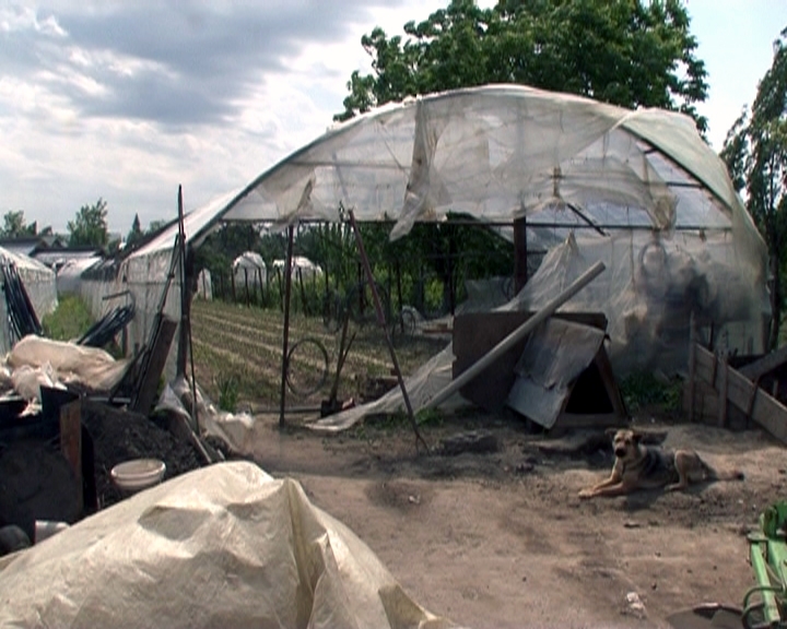 UPADTE/ Inundaţiile provocate de o rupere de nori au distrus o bună parte din solariile de la Matca